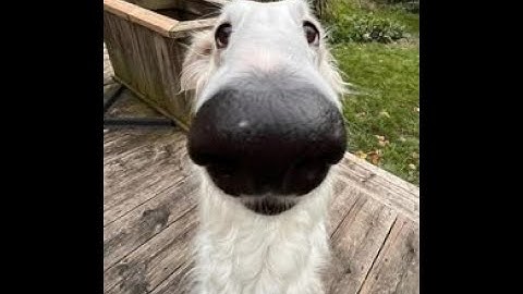 Payday 3 combat tutorial speedrun