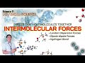 Unraveling Intermolecular Forces: The Bonds That Hold Molecules Together