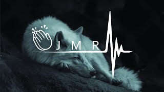 In The Wild  - JMR mix