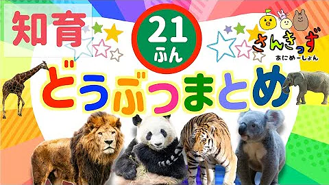 動物の鳴き方