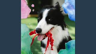 Background for Resting Pets