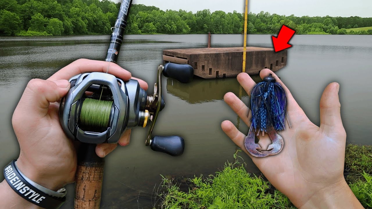 Fishing An ABANDONED Trophy Pond For GIANT BASS! — (Bank Fishing)