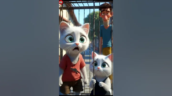 ****😺«Cat--বিড়াল»🐈****            #shorts #short #youtubeshorts #foryou #shortvideo #ytshorts #like