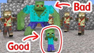 Monster School : Baby Zombie Is Lost  Minecraft Animation