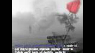 Hakan Tasiyan Guz Gulleri Garamustafa Resimi