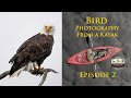 Bird Photography From a Kayak - Episode 2