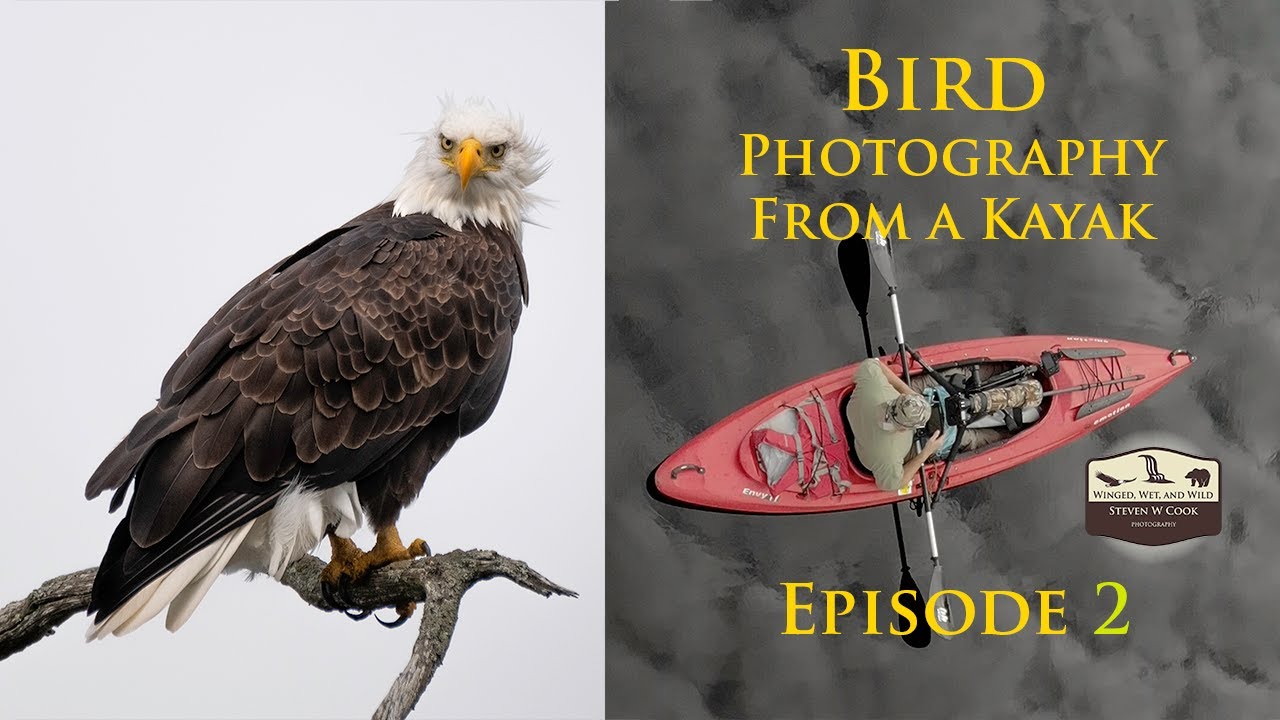 Bird Photography From a Kayak Episode 2 YouTube