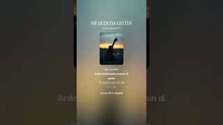 NE OLDUDA GİTTİN
