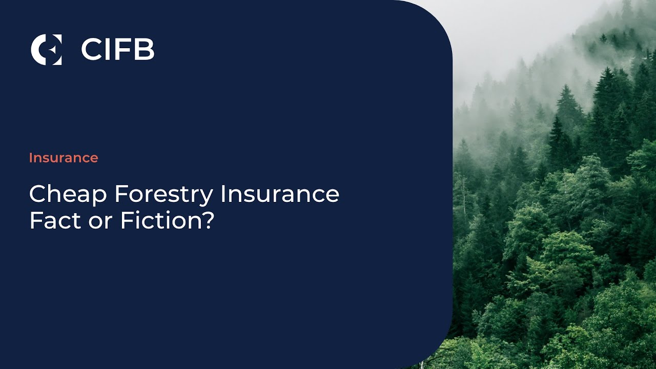 Cheap Forestry Insurance – Fact or Fiction?