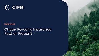 Cheap Forestry Insurance – Fact or Fiction?