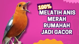 Download Lagu LANGSUNG NYAUT 10000 % ‼️ ANIS MERAH MACET BUNYI JIKA DENGAR SUARA INI PASTI NYAUT LANJUT GACOR | 6 MP3 Download Lagu LANGSUNG NYAUT 10000 % ‼️ ANIS MERAH MACET BUNYI JIKA DENGAR SUARA INI PASTI NYAUT LANJUT GACOR | 6 MP3