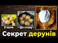 Цю пісню шукають всі Зацвіли деруни на городі Такої пісні ви ще не чули Прем єра 