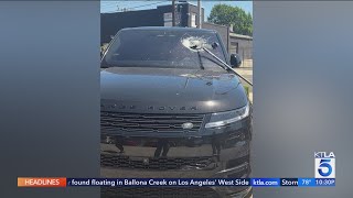 Man arrested after attacking Los Angeles animal shelter employees