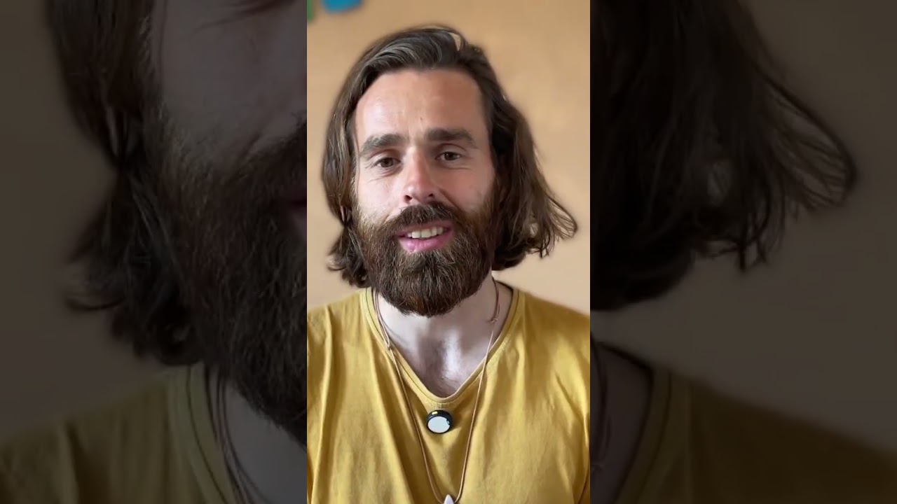 Meine Schuld & Reue: Unfallanalyse im Detail 