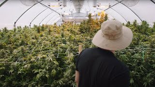PAX Academy – Lesson 109: Growing Cannabis
