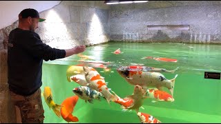 Building The Most Amazing Indoor Koi Pond With Fish *DIY