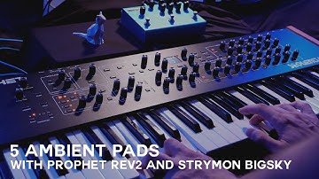 5 ambient pads with Prophet REV2 and Strymon Big Sky | Ambient music
