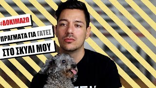ΔΟΚΙΜΑΖΩ ΠΡΑΓΜΑΤΑ ΓΙΑ ΓΑΤΕΣ... ΣΤΟ ΣΚΥΛΙ ΜΟΥ