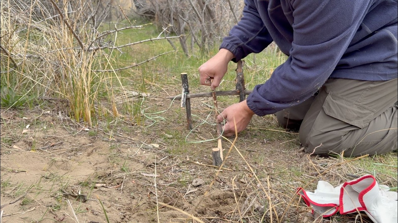 4 Dias de Supervivencia y  Bushcraft  en patagónia
