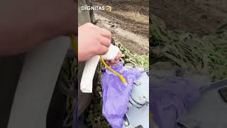 НРК - виїзні навчання від Dignitas.