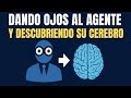 Le Damos OJOS a Nuestro Agente de IA con Gemini 👁️ | Descubriendo el Framework ReAct