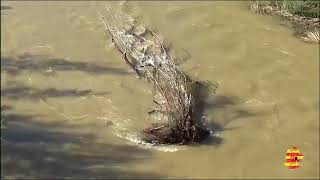 RIO CINCA A SU PASO POR FRAGA