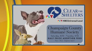 Furever Family: Champaign County Humane Society “Clear the Shelters” Event | ciLiving