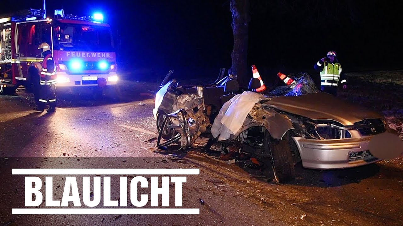 Zwei Männer sterben bei Unfall in Brandenburg - Gegen Baum geprallt