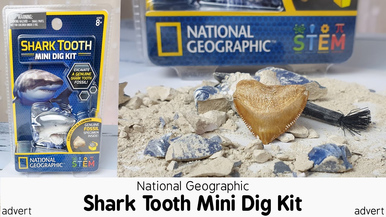 National Geographic Dig Kits Review – What's Good To Do