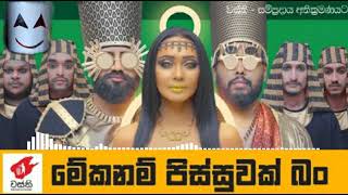 Meka Nam Pissuwak Bun - Wasthi Production |audio vizulizer