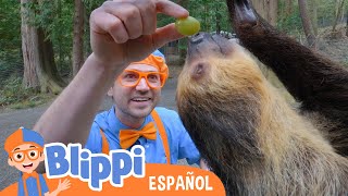 Blippi visita el refugio de animales  | Aprende con Blippi | Videos Educativos para niños