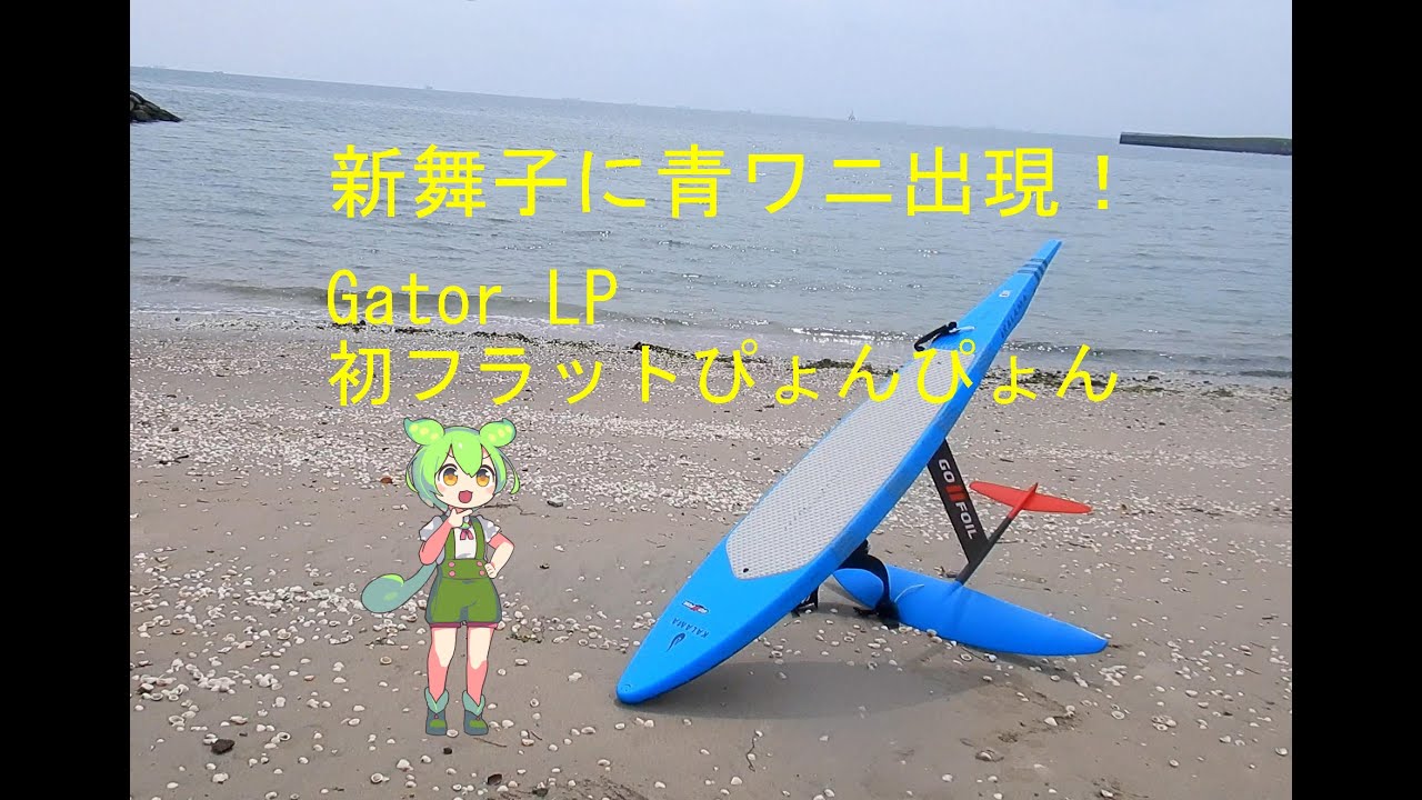 新舞子に青ワニ出現！ Gator LP 8'6 95L 初使用  flat water pop up