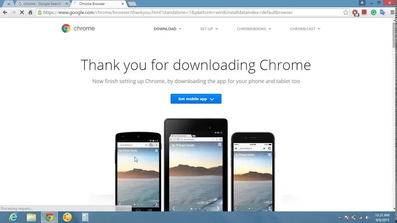 How to download the official Google Chrome standalone ...