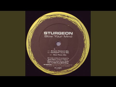 Sturgeon — Blow Your Mind (Intelligent Jump Mix)