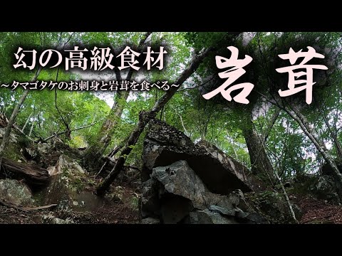 岩茸　1キロ　うお様 岩茸 1キロ うお様 【公式通販】