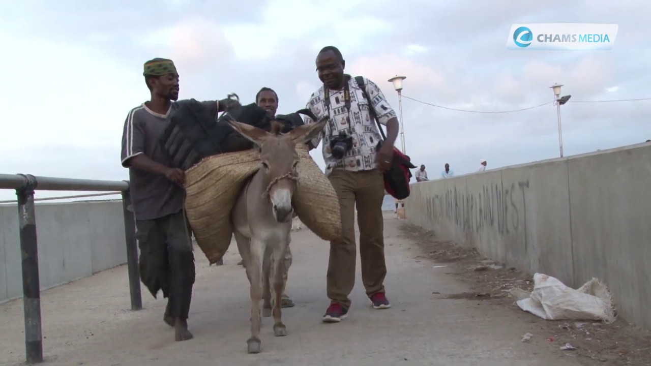 Lamu is Waiting Stay Safe, Keep Hope Alive YouTube