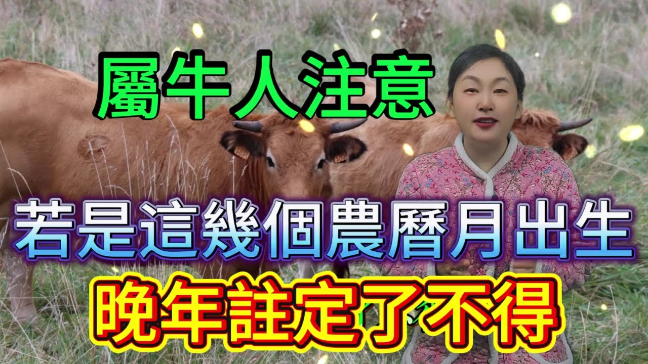 命裏有時終須有，命裏無時莫強求 屬牛人必看！若是這4個農曆月出生，晚年可是 “了不得”！快對照看看你家有嗎？