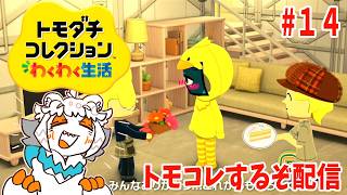 【14】オリキャラや推し作ってトモコレ楽しむっきゃねーぞ配信【トモダチコレクションわくわく生活】