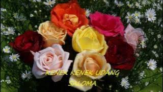 KENEK KENEK UDANG - SALOMA