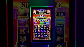 Life of luxury 2 in 1 Slot Jungle Cats Great Eagle Games Video Slot Boards For Sale