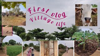 Village life || वृक्षारोपण || Vlog 01 || 🦋🌼🤎