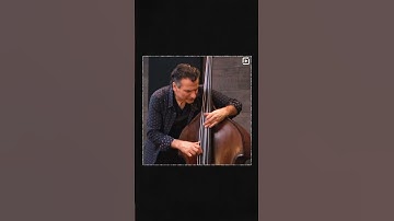 Thumbnail of Monday Motivator, 3/11/24: John Patitucci, Darol Anger, Howard Levy, & Martin Taylor || ArtistWorks