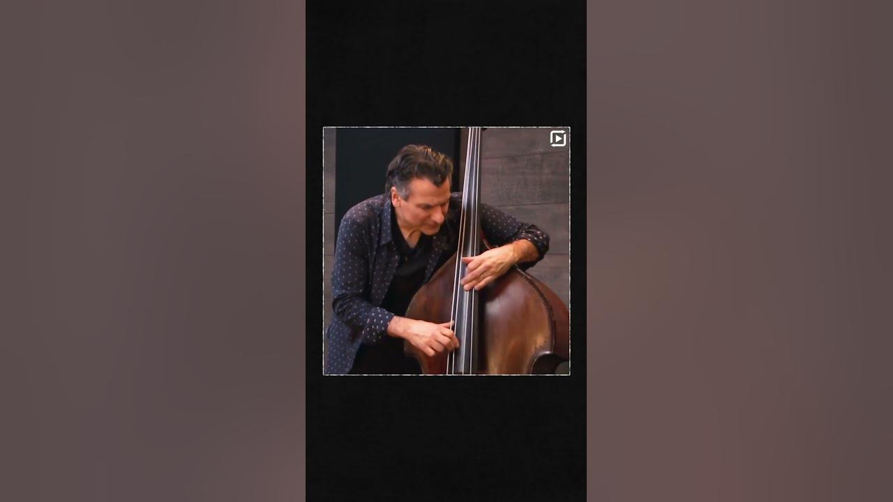 Monday Motivator, 3/11/24: John Patitucci, Darol Anger, Howard Levy, & Martin Taylor || ArtistWorks