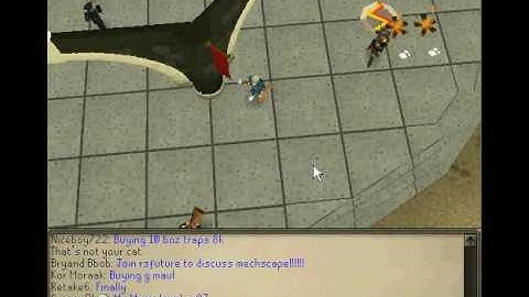 Runescape Randomness 3