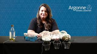Planting with a Purpose Activity: Argonne National Laboratory