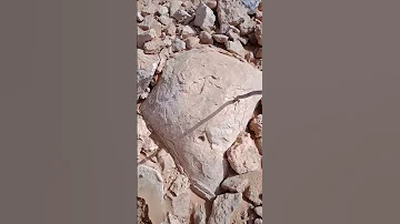 الران كنز اكتشاف 