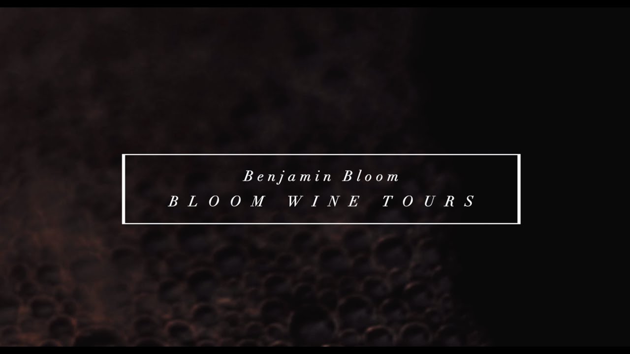 Video Portrait | Bloom Wine Tours