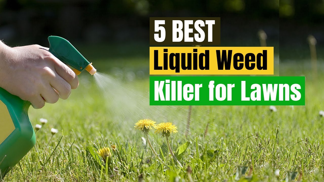 Best Liquid Weed Killer for Lawns In 2022 YouTube