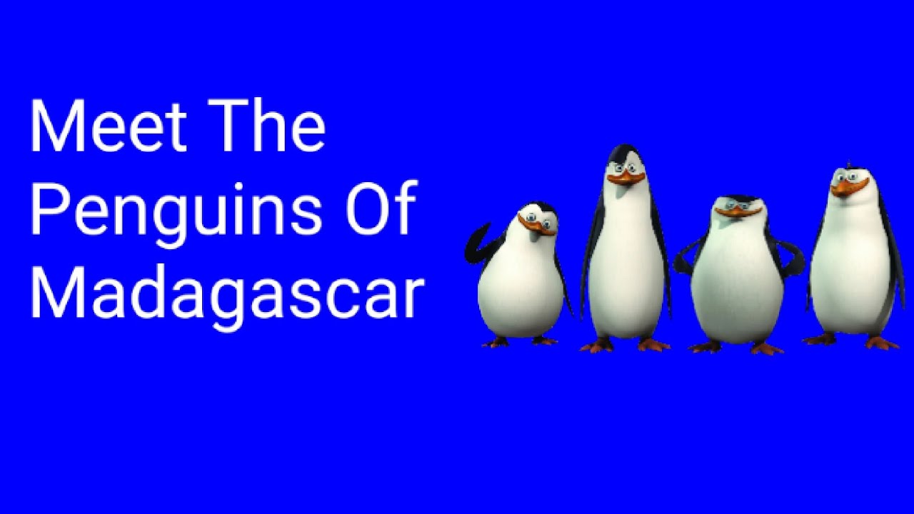 Meet The Penguins Of Madagascar Part 1 Out Of 2 - YouTube