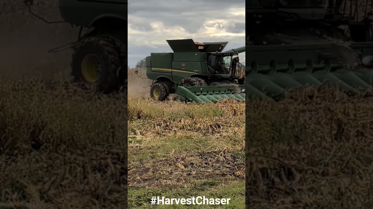 Get Yourself Some Good BBQ Corn Harvest 2025 John Deere #harvestchaser